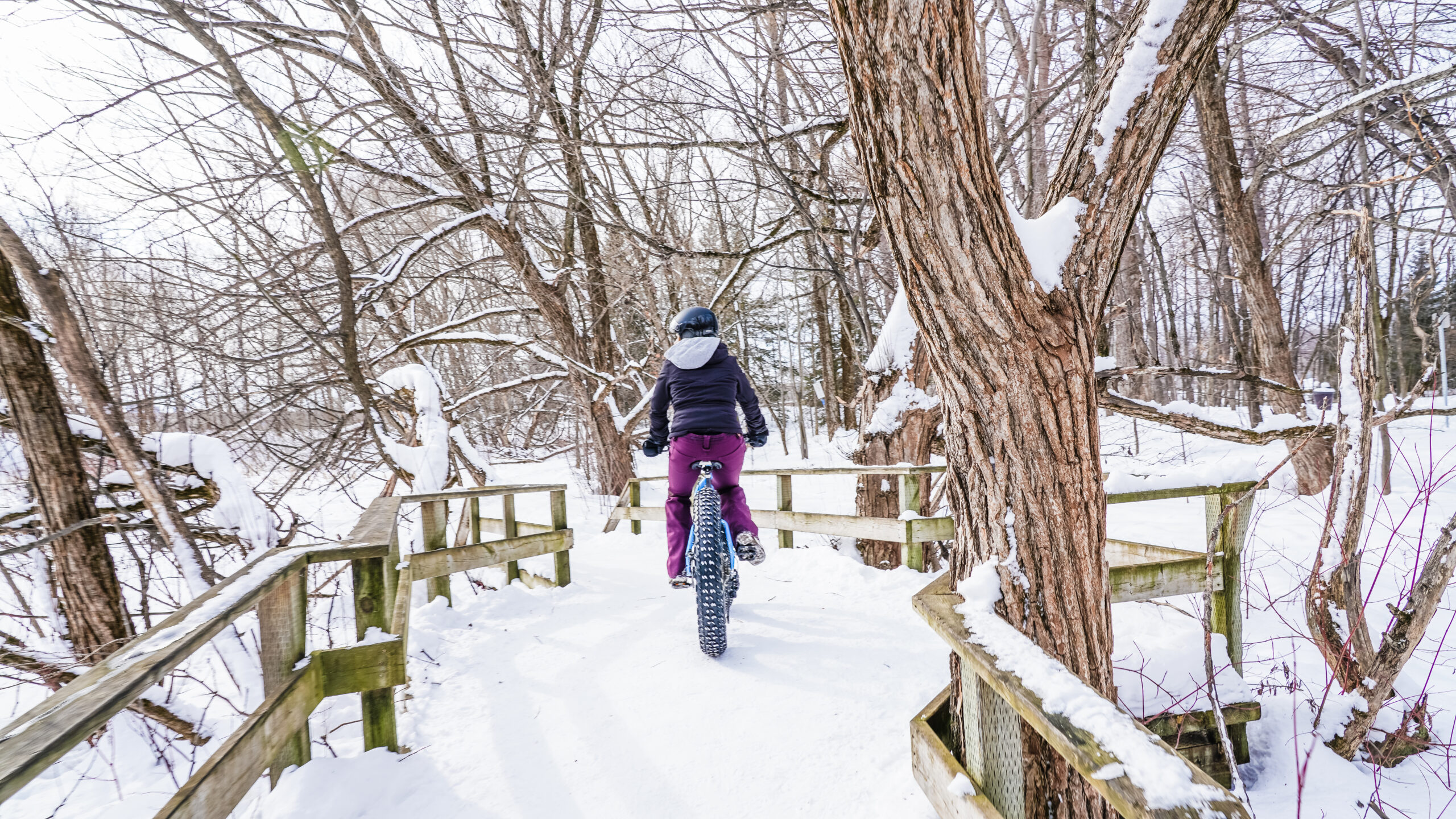 Fat biking activities and Winter Wear Rental in Quebec City